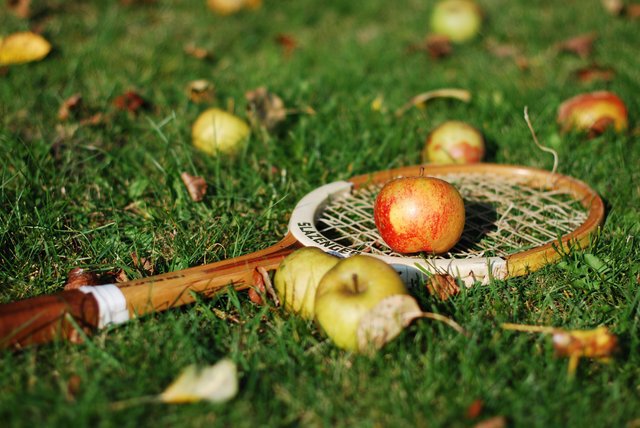 Herbstputz beim OTC – morgen geht’s los! 